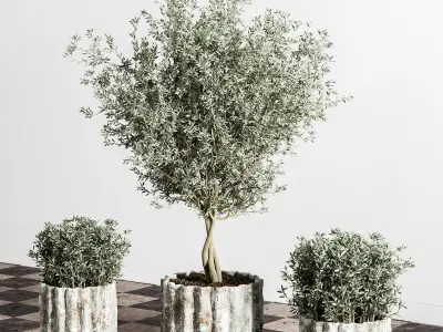 indoor plant stant 43 Low-poly 3D model