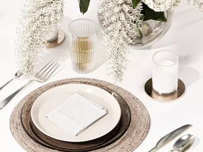 Table setting-H29 3D model