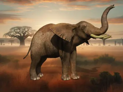 Elephant free Elegance Safari  Low-poly 3D model
