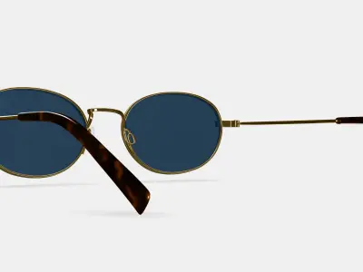 Albie Sunglasses in Polished Gold 3D model