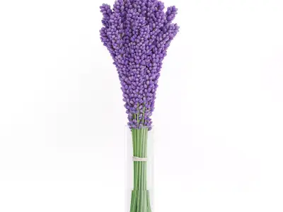 Violet Lupine in Glass Vase 3D model