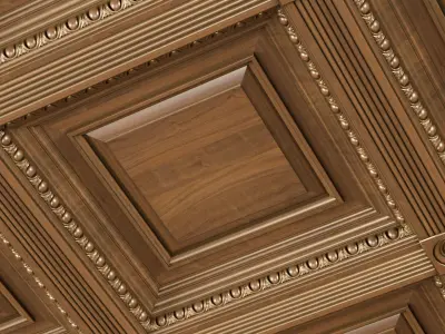 Classical coffered ceiling Set 3D model