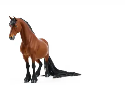 Majestic Bay Friesian Horse 3D Model Low-poly 3D model