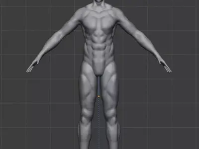 full man muscles  3D model