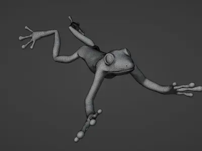 Poison Frog- Green tree frog 3D model