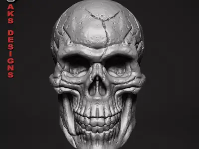 Skull version 1 Bas relief for cnc 3D print model