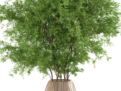 Bouquet - Green plant 01 3D model