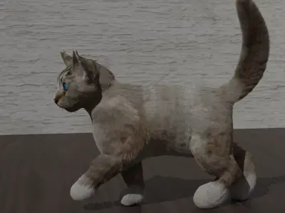 Blue eyed cat Low-poly 3D model