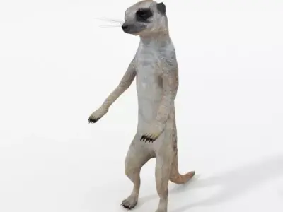Meerkat Low-poly 3D model