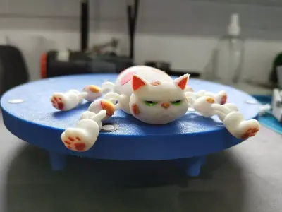 Grumpy Old Cat 3D print model