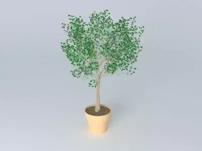 Terracotta vase with tree Free 3D model