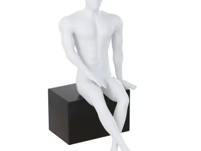 Mannequin sits on box 138 3D model