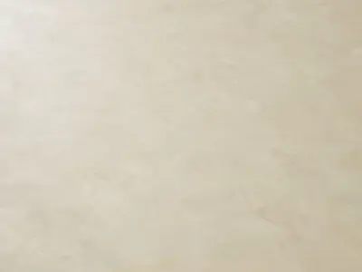 Stucco plaster 02 Texture