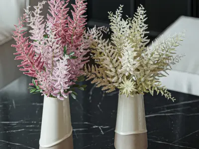 Flower Set 039 Astilbe 3D model