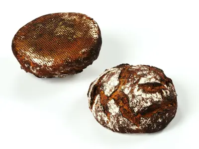 polypasta - bread 01 - rye 3D model