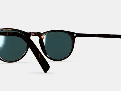 Haskell Sunglasses in Whiskey Tortoise 3D model