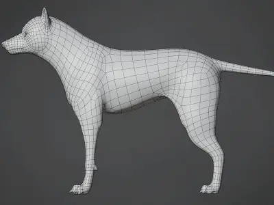 Wolf Base Mesh Low-poly 3D model purchase