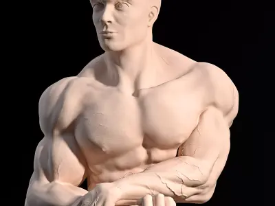 Bodybuilder Side Chest Pose 3D print model