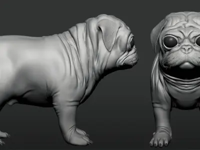 Pug Dog 3D model
