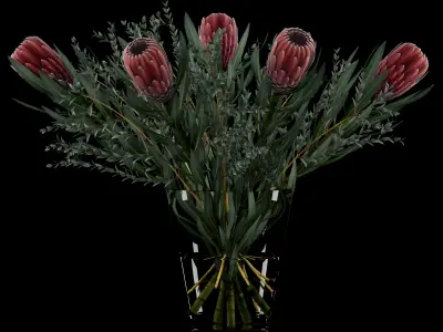 Protea with Eucalyptus parvifolia 3D model