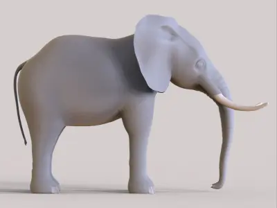 Elephant with tusks 3D model