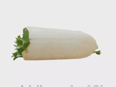 Sushi Burrito Fusion Wrap Model Pack Low-poly 3D model