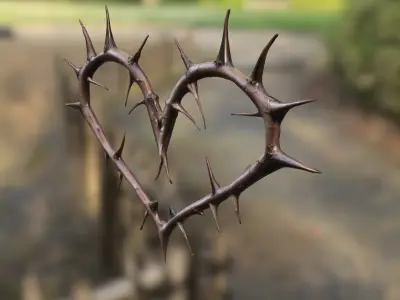 Thorned Heart  Low-poly 3D model