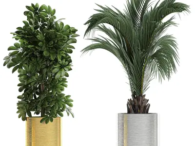 Ornamental plants in a chrome flowerpot 784 3D model