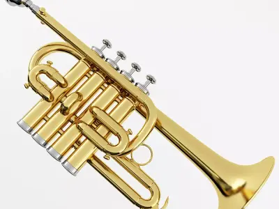 Piccolo Trumpet 3D model