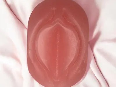 Mold anatomy vagina 3D print model