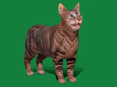 Manx Cat Low-poly 3D model