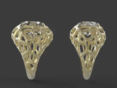 2 rings roots 3D print model