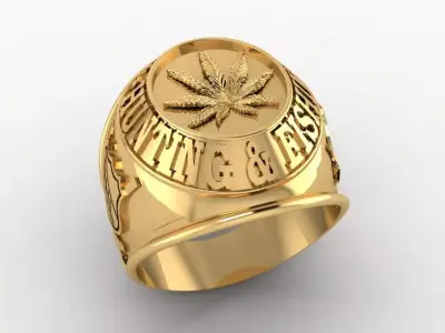 RING USA NM1 Free 3D print model