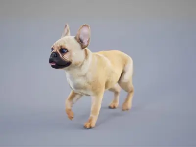 French Bulldog Animated UNREAL project  Maya base rig 3D model