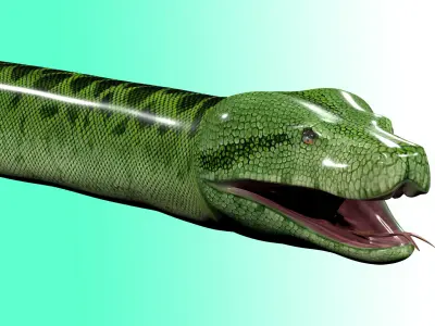 Green Python Snake 3D model