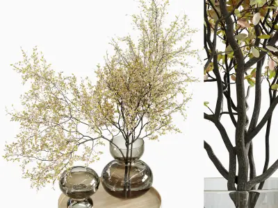 A collection of green and dried plants in different pots