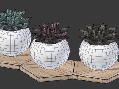 Potted Plant Decoration 3D model