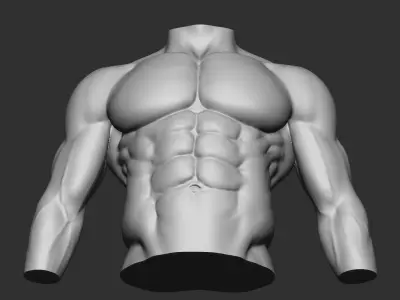 fitness bodybuilder  3D print model