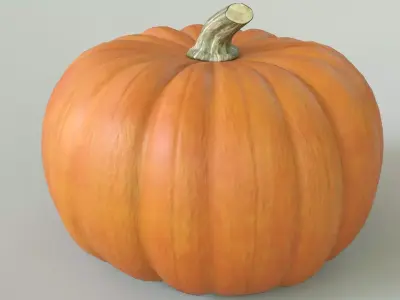 Pumpkin Low-poly 3D model