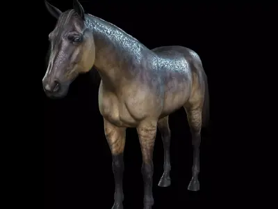 Thoroughbred Arabian Horse WILD WORLD PONY 5 Low-poly 3D model