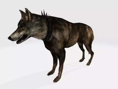 Coyote wolf 3D model