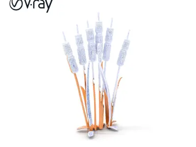 Cattail Plant D Model Pack Low-poly 3D model