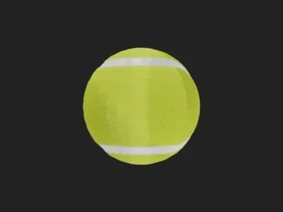 Tennis Ball 3D model