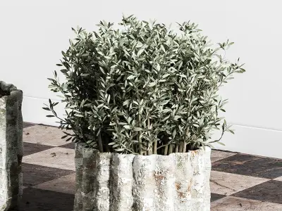 indoor plant stant 43 Low-poly 3D model