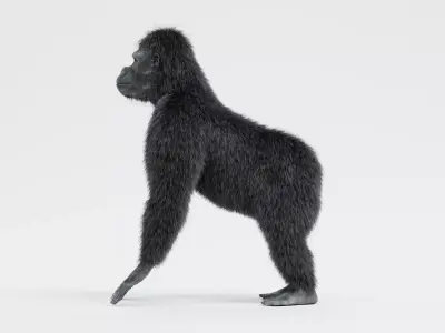 -Western Lowland Gorilla- 3D model