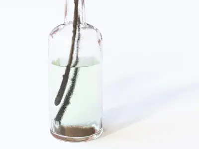 Twig with white flowers in a glass vase 3D model