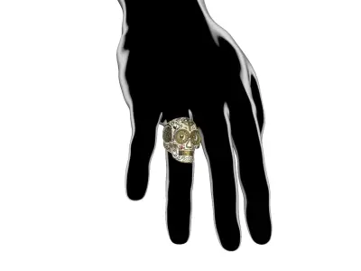 Skull chicano ring 3D print model