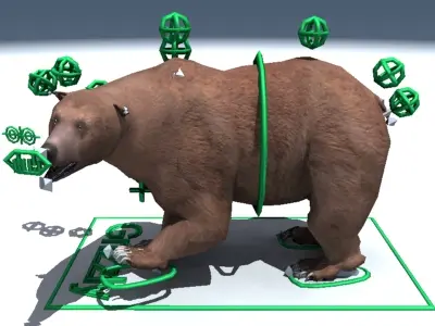 Grizzly Bear Rigged 3D model