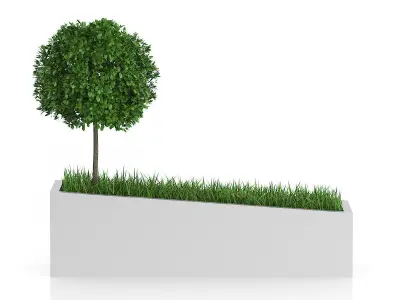 3D Plants IV CGAxis Models Volume 60 C4D 3D model