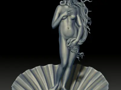 The birth of venus 3D print model